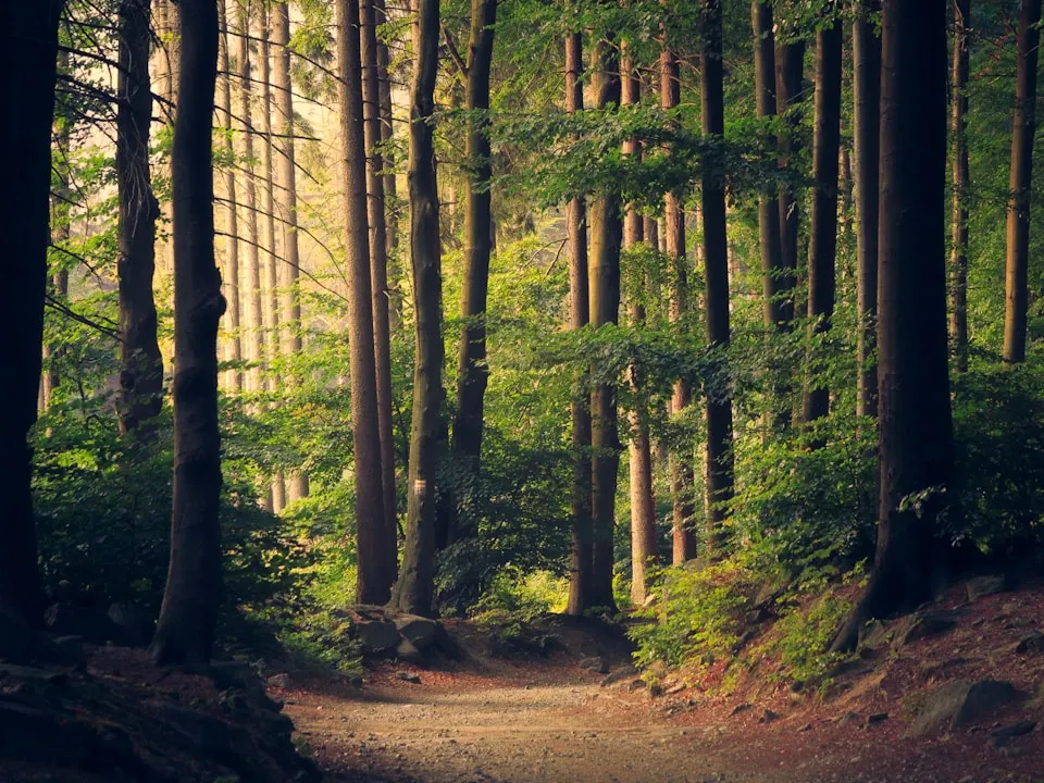 City of London Open Spaces